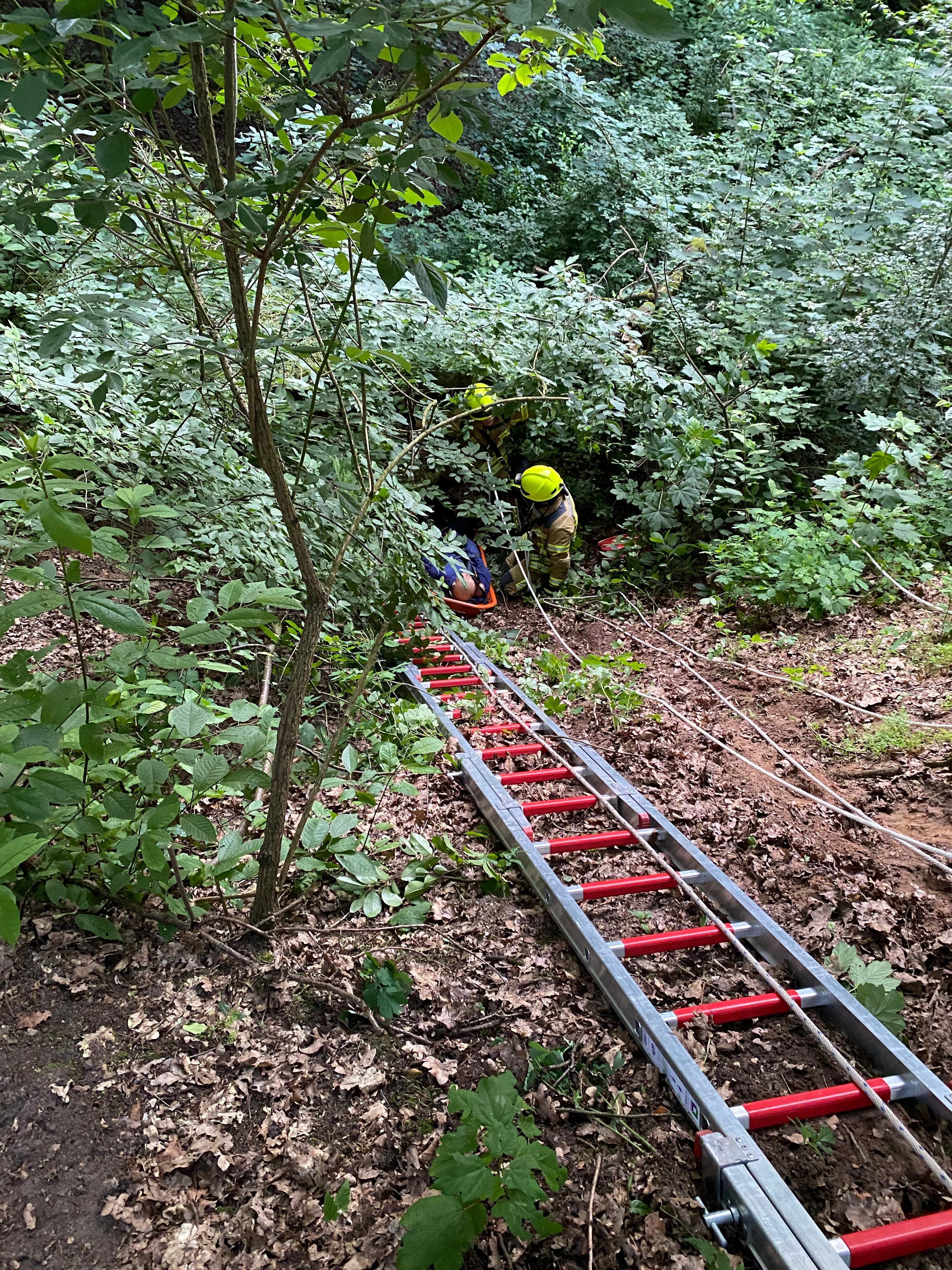 7e60199f-f93f-47d4-b6a5-9fed01946eb5